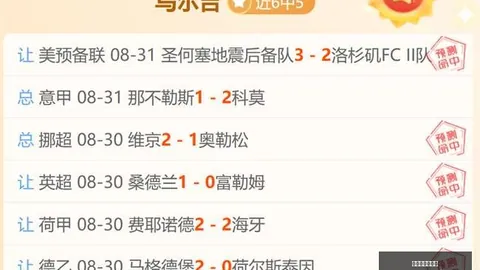 2026年德甲回归澳门美高梅官网登录：卡拉季奇加盟法兰克福终极指南